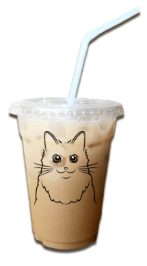 キャッティーミルク