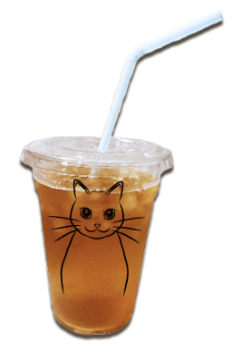 キャッティーベーシック